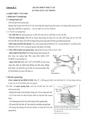Đề cương Sinh học Lớp 11 - Chuyên đề 3 Quang hợp ở thực vật và năng suất cây trồng